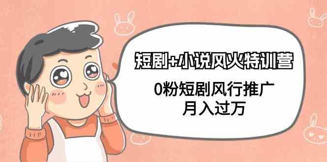 小说+短剧风火特训营,0粉短剧小说风行推广,实现月入过万-吾爱云课堂