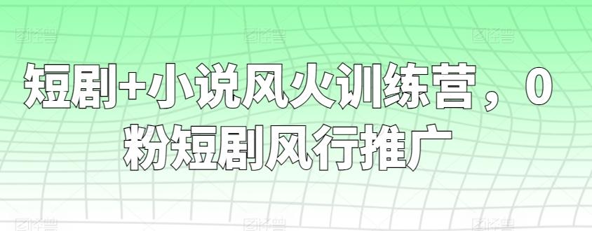短剧+小说风火训练营,0粉短剧风行推广-吾爱云课堂
