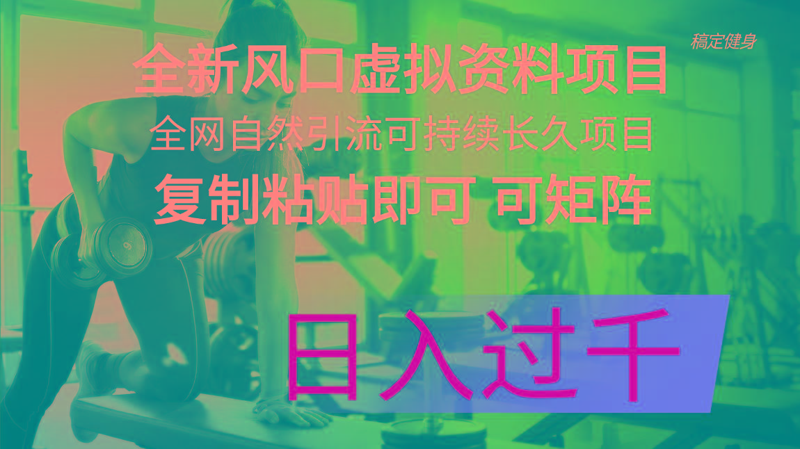 全新风口虚拟资料项目 全网自然引流可持续长久项目 复制粘贴即可可矩阵...-吾爱云课堂