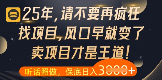 什么?25年你还在疯狂找项目做,醒醒吧,看完这些你全都懂了【揭秘】-吾爱云课堂