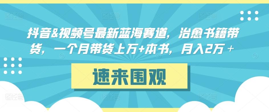 抖音&视频号最新蓝海赛道,治愈书籍带货,一个月带货上万+本书,月入2万+【揭秘】-吾爱云课堂