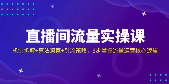 直播间流量实操课:机制拆解+算法洞察+引流策略,3步掌握流量运营核心逻辑-吾爱云课堂