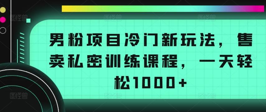男粉项目冷门新玩法,售卖私密训练课程,一天轻松1000+【揭秘】-吾爱云课堂