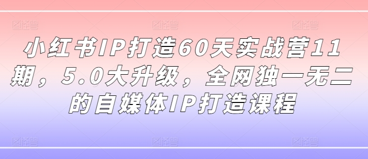 小红书IP打造60天实战营11期，5.0大升级，全网独一无二的自媒体IP打造课程-吾爱云课堂