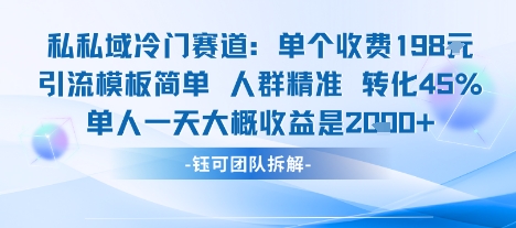 私域冷门赛道单个收费198米引流模板简单人群精准 45%的转化率单人一天大概收益多张-吾爱云课堂