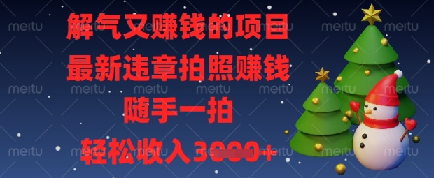 解气又挣钱的项目,最新违章拍照挣钱,随手一拍,轻松收入数张【揭秘】-吾爱云课堂