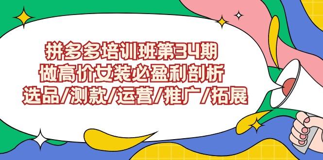 (9333期)拼多多培训班第34期:做高价女装必盈利剖析  选品/测款/运营/推广/拓展-吾爱云课堂