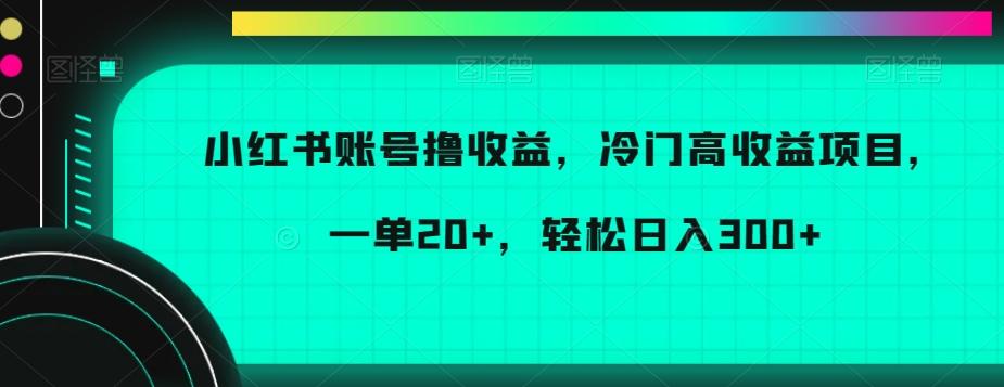 小红书账号撸收益,冷门高收益项目,一单20+,轻松日入300+【揭秘】-吾爱云课堂