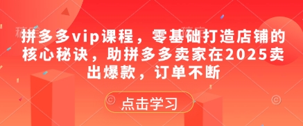 拼多多vip课程,零基础打造店铺的核心秘诀,助拼多多卖家在2025卖出爆款,订单不断-吾爱云课堂