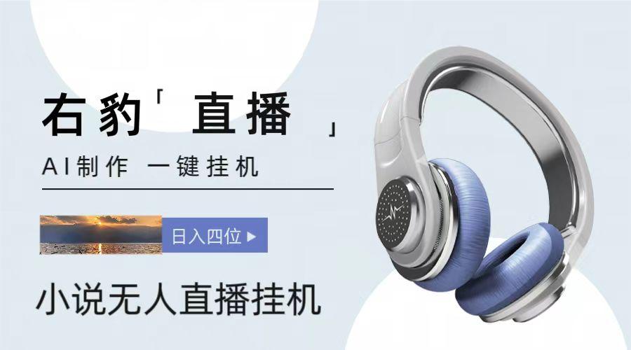 右豹小说无人直播挂机吸金项目,简单易行收益稳定, 月入1000+-吾爱云课堂