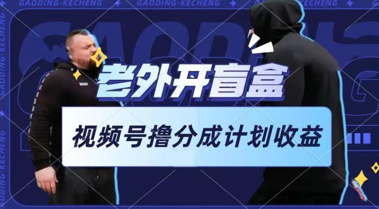 老外开盲盒视频,撸视频号分成计划收益,每天只需一小时,新手小白轻松上手【揭秘】-吾爱云课堂