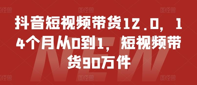 抖音短视频带货12.0，14个月从0到1，短视频带货90万件-吾爱云课堂