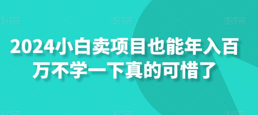 2024小白卖项目也能年入百万不学一下真的可惜了-吾爱云课堂