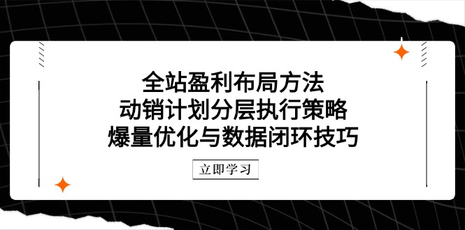 全站盈利布局方法:动销计划分层执行策略,爆量优化与数据闭环技巧-吾爱云课堂