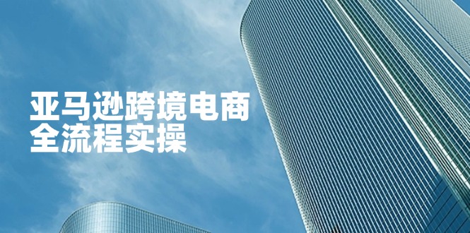 亚马逊跨境电商全流程实操,教你从零开始,掌握店铺运营与广告技巧-吾爱云课堂