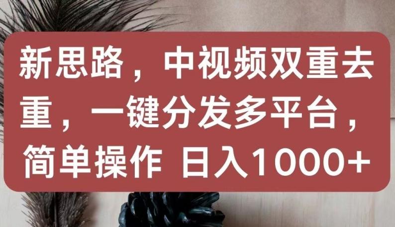 新思路,中视频双重去重,一键分发多平台,简单操作,日入1000+【揭秘】-吾爱云课堂