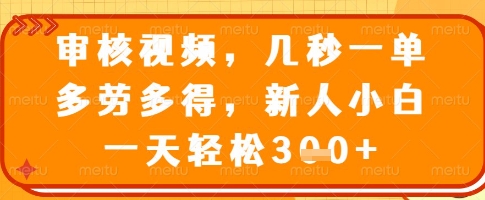 审核视频,几秒一单,多劳多得,新人小白一天轻松3张【揭秘】-吾爱云课堂