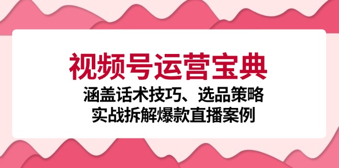 视频号运营宝典:涵盖话术技巧、选品策略、实战拆解爆款直播案例-吾爱云课堂