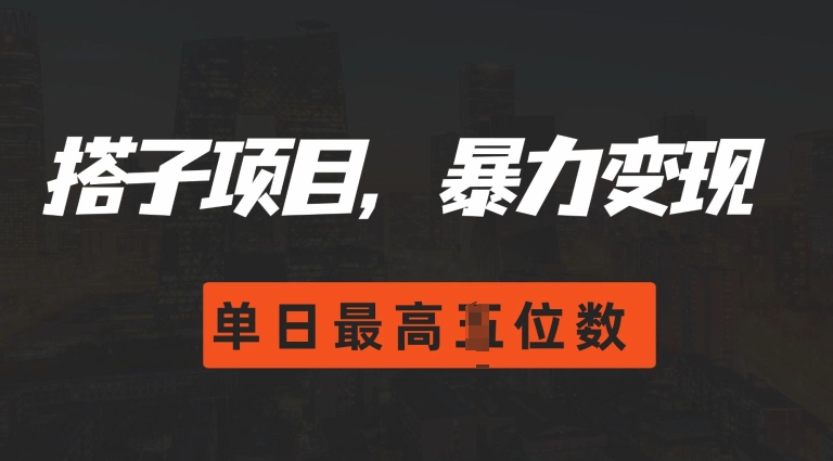 2024搭子玩法,0门槛,暴力变现,单日最高破四位数【揭秘】-吾爱云课堂