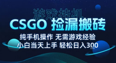 8月最新游戏搬砖，CSGO纯挂G，不需要玩游戏，实现真挂G，月入1W+【揭秘】-吾爱云课堂