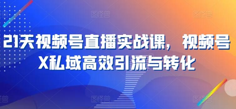 21天视频号直播实战课,视频号X私域高效引流与转化-吾爱云课堂