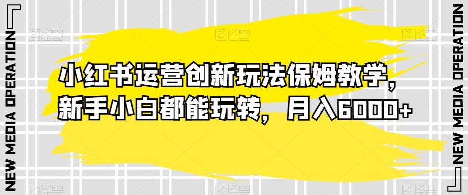 小红书运营创新玩法保姆教学,新手小白都能玩转,月入6000+【揭秘】-吾爱云课堂