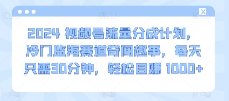 2024视频号流量分成计划，冷门监海赛道奇闻趣事，每天只需30分钟，轻松目赚 1000+【揭秘】-吾爱云课堂