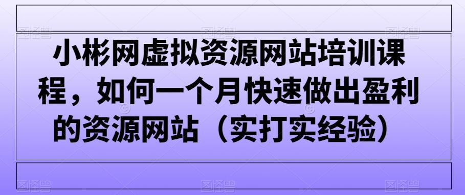 小彬网虚拟资源网站培训课程,如何一个月快速做出盈利的资源网站(实打实经验)-吾爱云课堂
