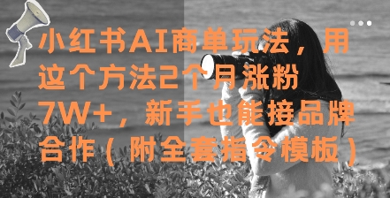 小红书AI商单玩法,用这个方法2个月涨粉7W+,新手也能接品牌合作(附全套指令模板)-吾爱云课堂