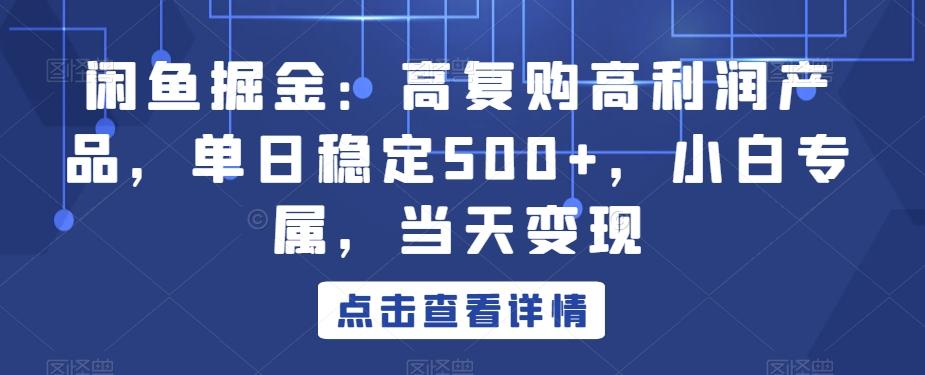 闲鱼掘金：高复购高利润产品，单日稳定500+，小白专属，当天变现-吾爱云课堂
