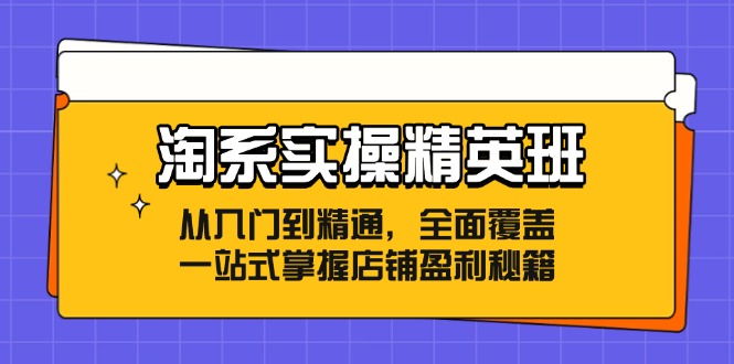 淘系实操精英班：从入门到精通，全面覆盖，一站式掌握店铺盈利秘籍-吾爱云课堂