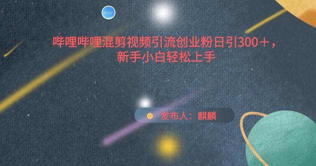 哔哩哔哩混剪视频引流创业粉日引300+,新手小白轻松上手【揭秘】-吾爱云课堂