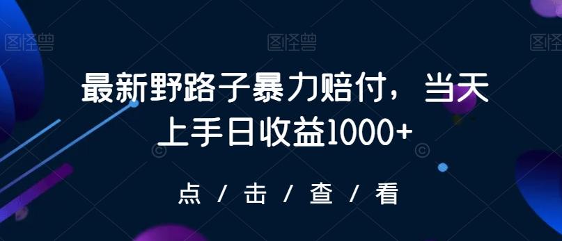 最新野路子暴力赔付,当天上手日收益1000+【仅揭秘】-吾爱云课堂