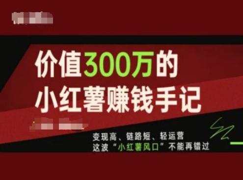 价值300万的小红书赚钱手记,变现高、链路短、轻运营,这波“小红薯风口”不能再错过-吾爱云课堂