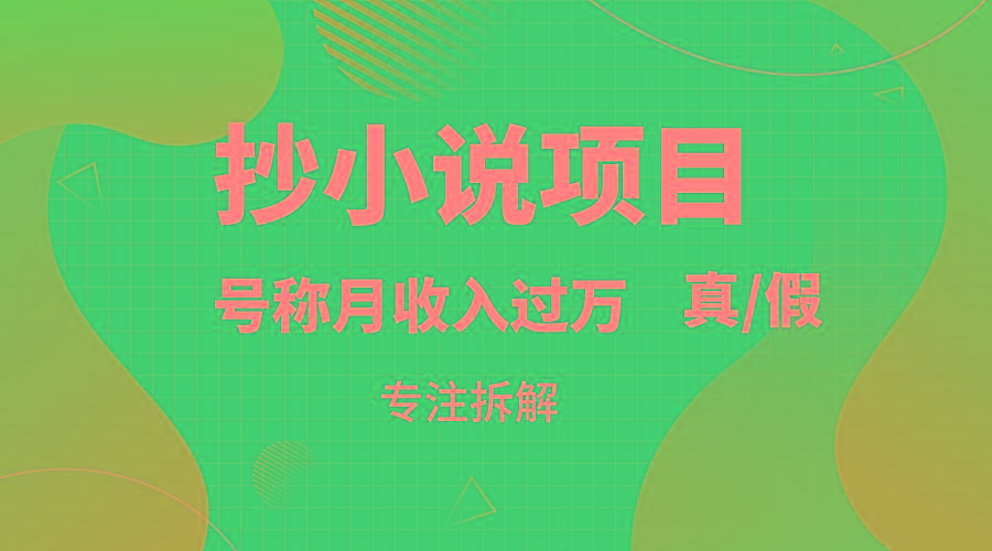 抄小说项目,号称月入过万,到底是否真实,能不能做,详细拆解-吾爱云课堂