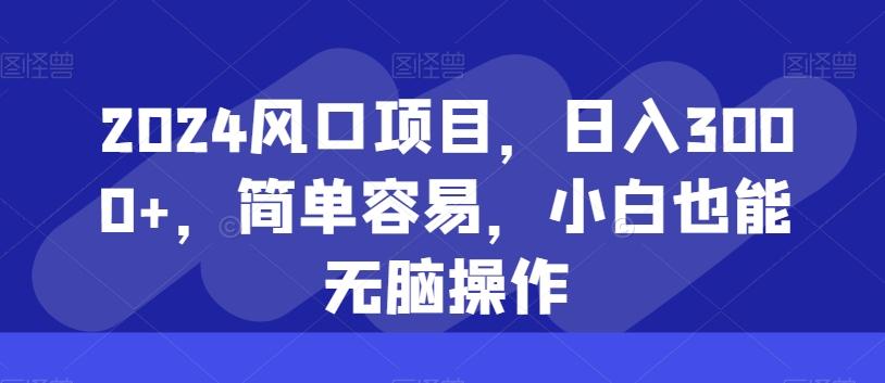 2024风口项目,日入3000+,简单容易,小白也能无脑操作-吾爱云课堂