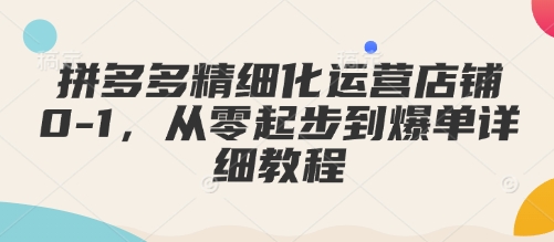 拼多多精细化运营店铺0-1,从零起步到爆单详细教程-吾爱云课堂