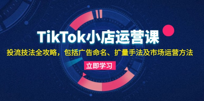TikTok小店运营课：投流技法全攻略，包括广告命名 扩量手法及市场运营方法-吾爱云课堂