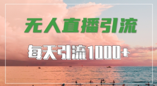 抖音快手视频号全平台通用，无人直播引流法，超暴力引流1000+高质量精准创业粉【揭秘】-吾爱云课堂