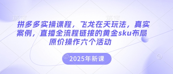 拼多多实操课程,飞龙在天玩法,真实案例,直播全流程链接的黄金sku布局原价操作六个活动-吾爱云课堂