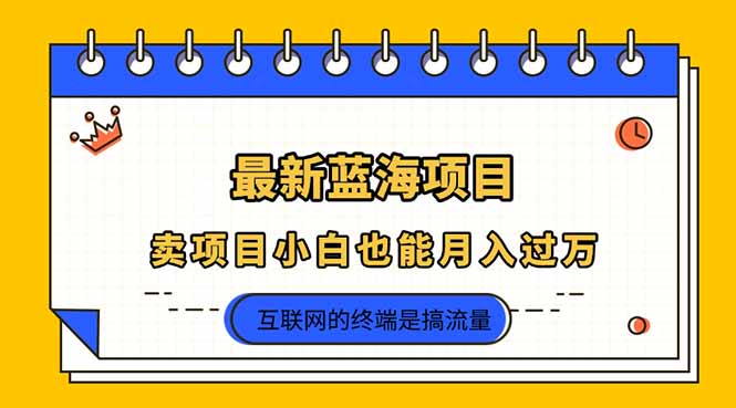 2025年最新蓝海项目,卖项目小白也能月入过万-吾爱云课堂