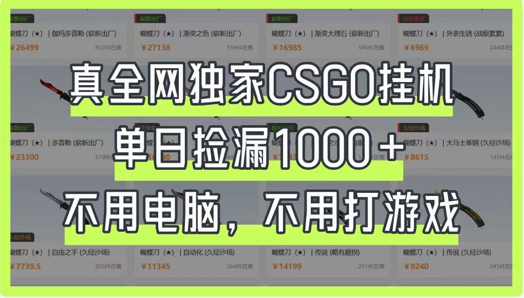 真全网独家CSGO挂机,单日捡漏1000+,不用电脑,不用养号-吾爱云课堂