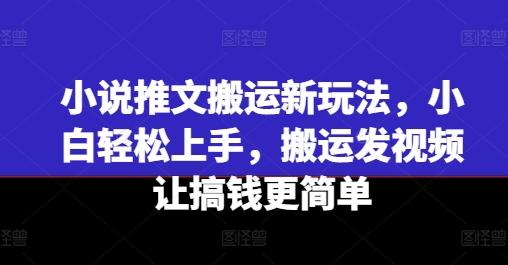 小说推文搬运新玩法，小白轻松上手，搬运发视频让搞钱更简单-吾爱云课堂