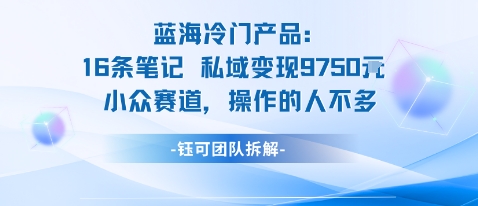 蓝海项目:16条笔记私域变现9750米小众赛道操作的人不多-吾爱云课堂