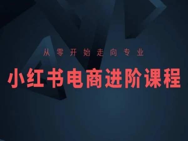 从零开始走向专业，小红书电商进阶课程-吾爱云课堂