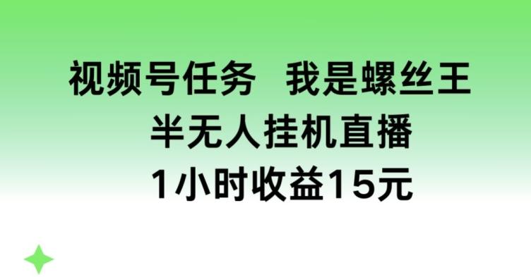 视频号任务,我是螺丝王, 半无人挂机1小时收益15元【揭秘】-吾爱云课堂
