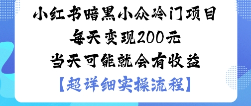 小红书暗黑小众冷门项目每天变现2张当天可能就会有收益-吾爱云课堂