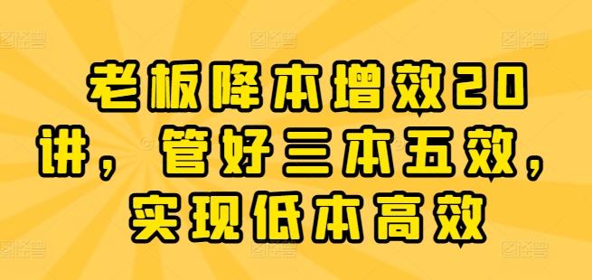 老板降本增效20讲,管好三本五效,实现低本高效-吾爱云课堂