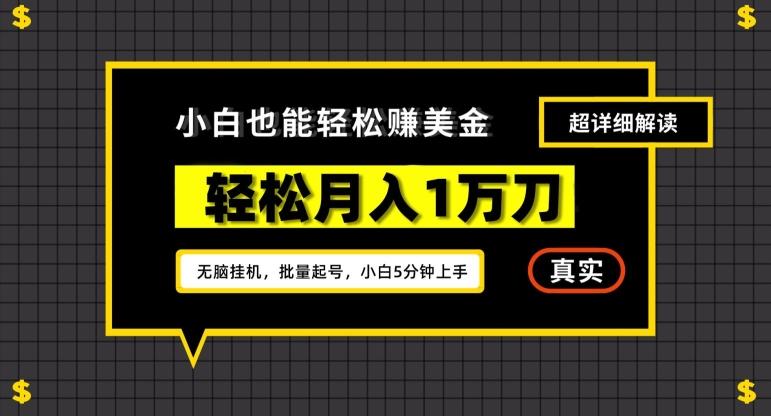 谷歌看广告撸美金2.0,无脑挂机,多号操作,月入1万刀【揭秘】-吾爱云课堂