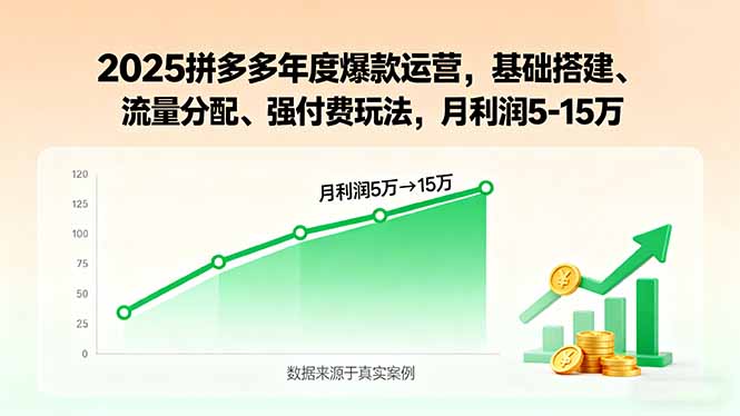 2025拼多多年度爆款运营,基础搭建、流量分配、强付费玩法,月利润5-15万-吾爱云课堂